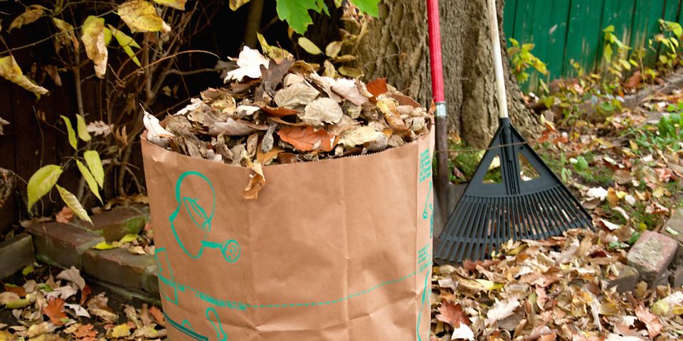 Last Week for Yard Waste in 2021