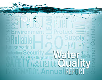 Consumer Confidence Report for 2022